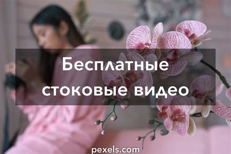 скачать ххх видео|Бесплатные стоковые видео · Видео Pexels.